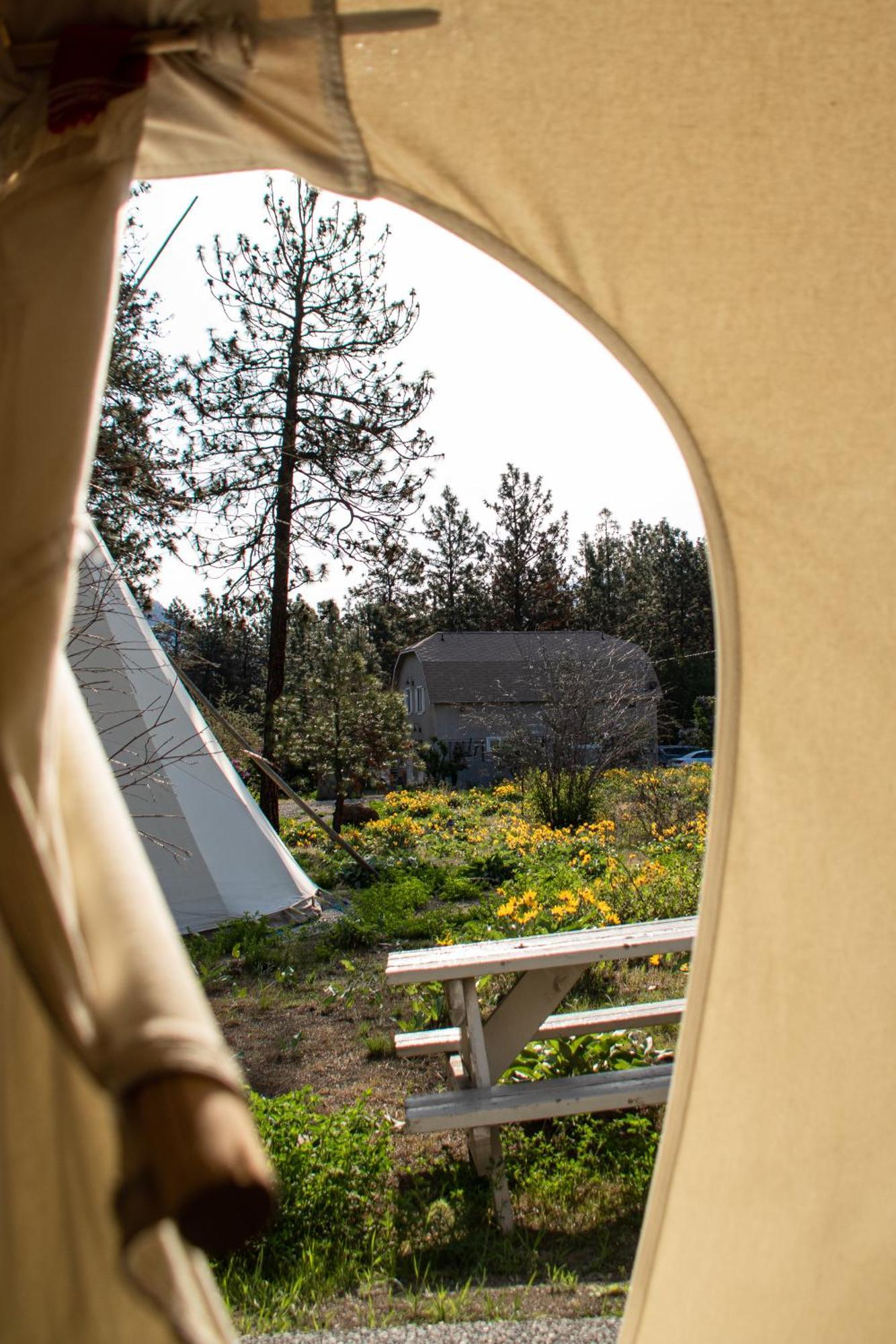 Kumsheen Rafting Resort Lytton Exterior foto